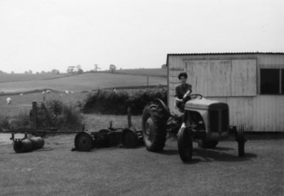 Growing vegetables on the cricket pitch during World War II